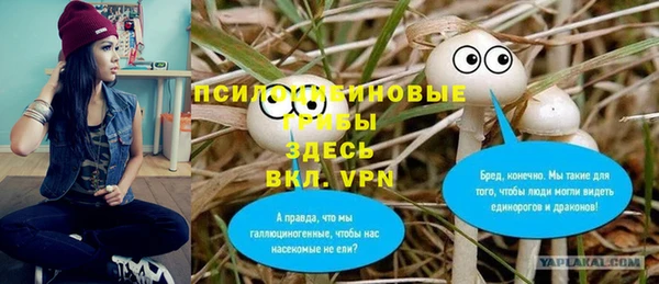 ГАЛЛЮЦИНОГЕННЫЕ ГРИБЫ Богданович